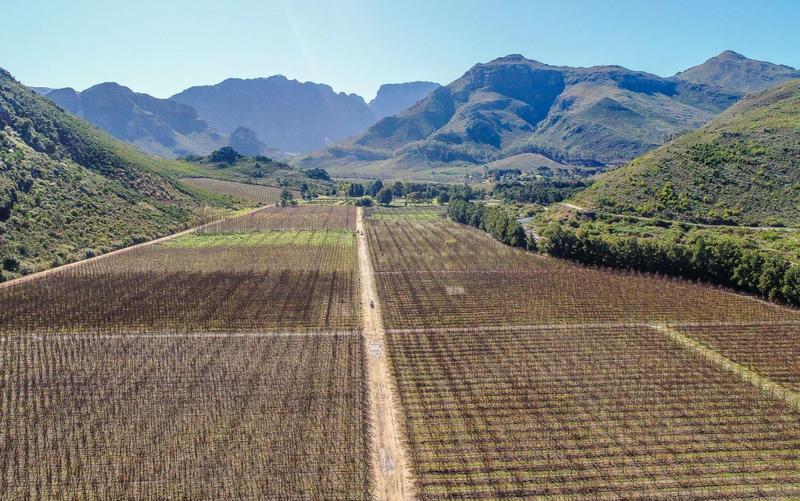 0 Bedroom Property for Sale in Franschhoek Western Cape
